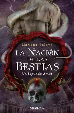Un Segundo Amor