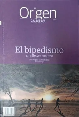 Origen 25 el Bipedismo