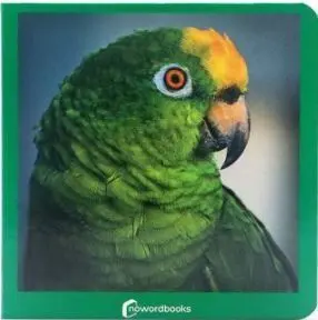 Verde Carton