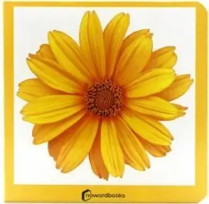 Amarillo Carton