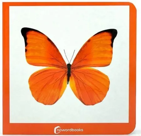 Naranja