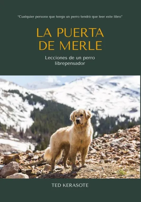 Puerta de Merle, la