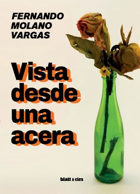 Vista Desde una Acera