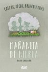 MAÑANITA DE NIEBLA