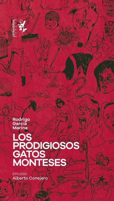 Prodigiosos Gatos Monteses, los