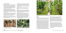 Jardinería y Horticultura Adaptadas Al Cambio Clim