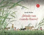 ¿Dónde Van Cuando Llueve?