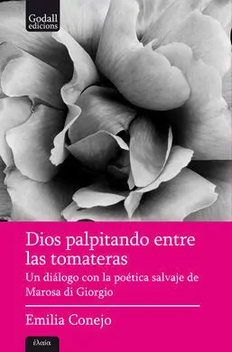 Dios Palpitando entre las Tomateras