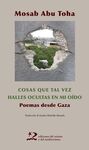 COSAS QUE TAL VEZ HALLES OCULTAS EN MI OÍDO