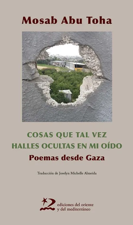 Cosas que Tal Vez Halles Ocultas en mi Oído