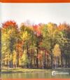 OTOÑO