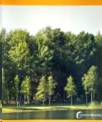 Verano