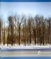 INVIERNO