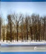 Invierno