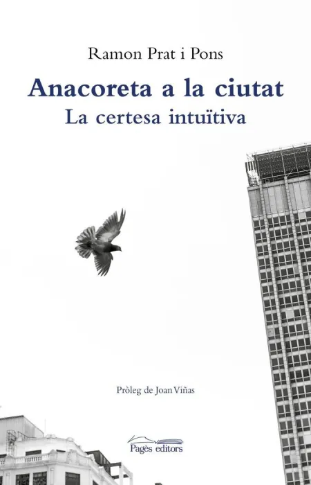 Anacoreta a la Ciutat