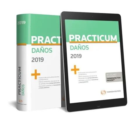 Practicum Daños 2019 Duo