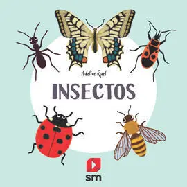 Nat. insectos