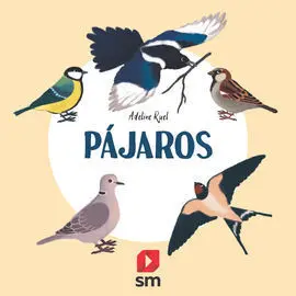 Nat. pajaros