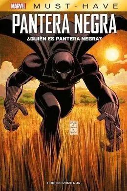 Mst19 Quien Es Pantera Negra