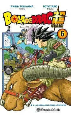 Bola de Drac Super Nº 06