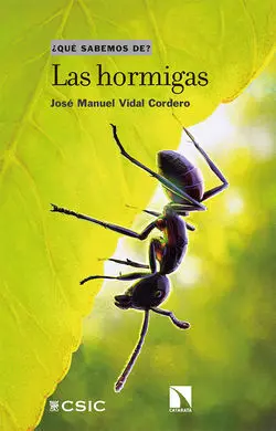 Las Hormigas