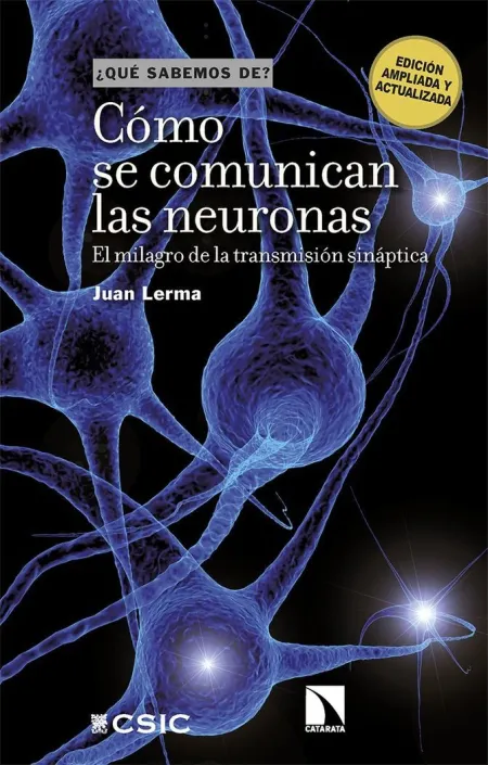 Como se Comunican las Neuronas