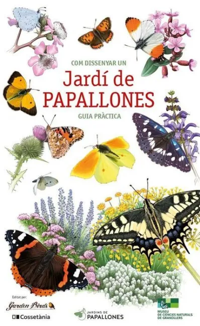 Com Dissenyar un Jardi de Papallones