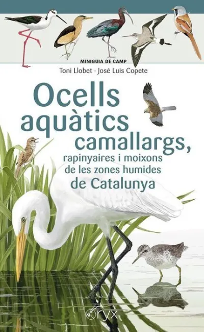 Ocells Aquàtics Camallargs, Rapinyaires I Moixons