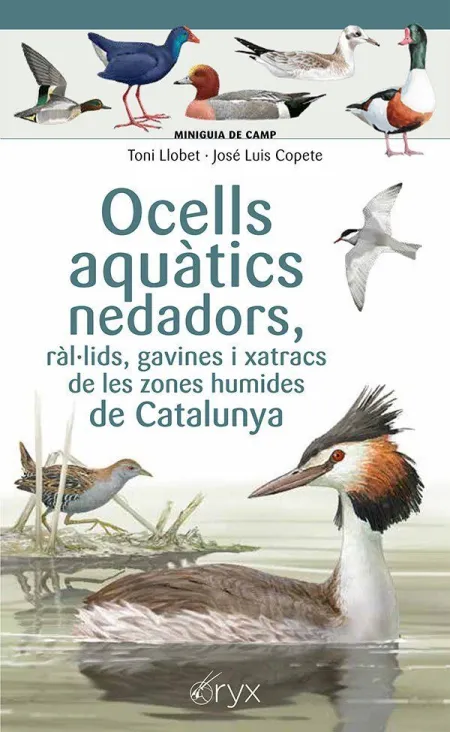 Ocells Aquatics Nedadors, Ralulids, Gavines I Xatr