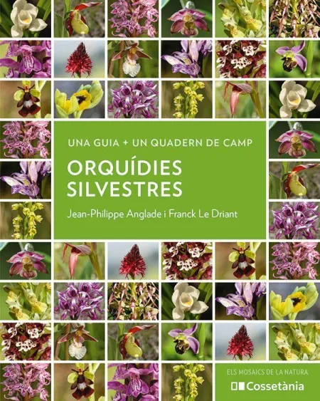 Orquídies Silvestres
