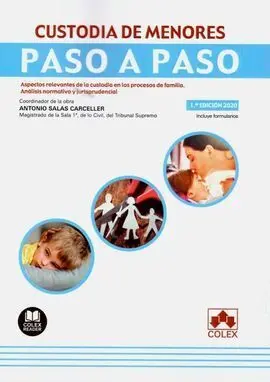 Custodia de Menores. Paso a Paso.