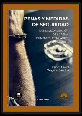 Penas y Medidas de Seguridad.