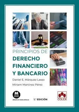 Principios de Derecho Financiero y Bancario.