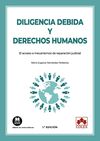DILIGENCIA DEBIDA Y DERECHOS HUMANOS.