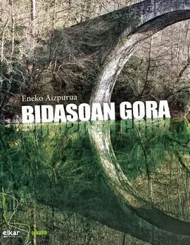 Bidasoan Gora