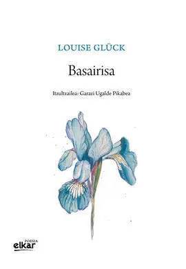 Basairisa
