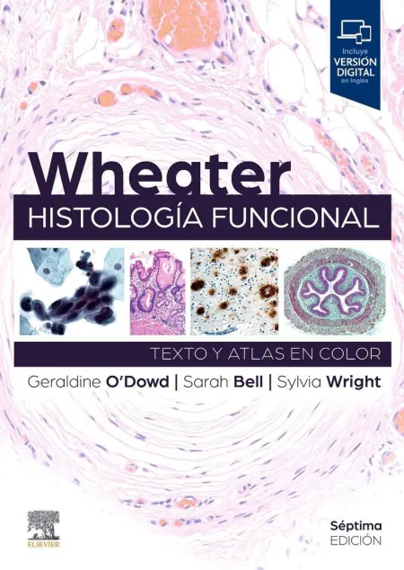 Wheater Histologia Funcional 7ª Ed