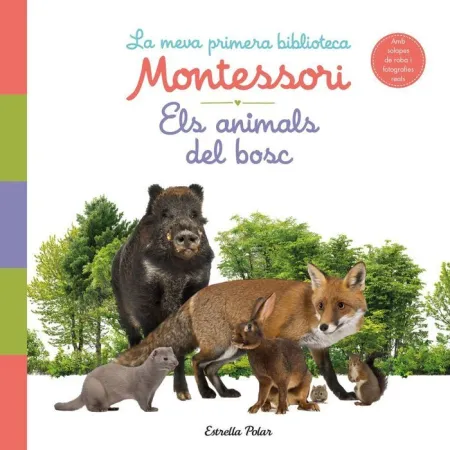 Els Animals del Bosc. La Meva Primera Biblioteca M