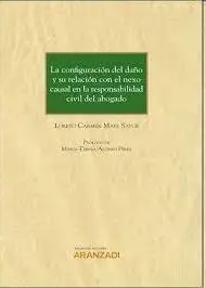 Configuracion Daño y Relacion con Nexo Causal en Responsabi