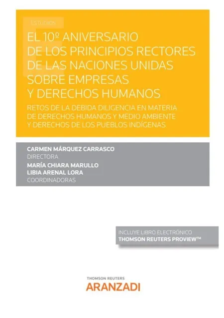 El 10º Aniversario de los Principios Rectores de las Naciones Unidas Sobre Empre
