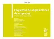 Esquemas de Adquisiciones de Empresas