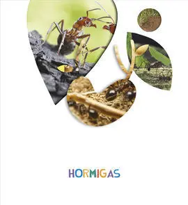 Proyecto ¿Lo Ves? - 5 Años : Hormigas