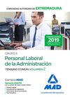 GRUPO II PERSONAL LABORAL DE LA ADMINISTRACIÓN DE LA COMUNIDAD AUTÓNOMA DE EXTRE