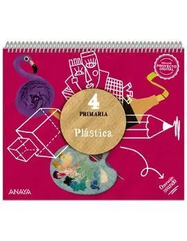Plástica 4