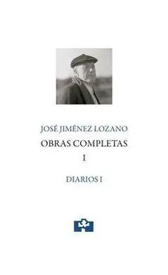 Obras Completas Vol, 1 Diarios I