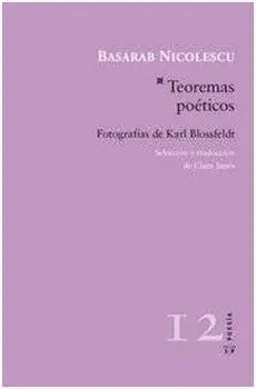 Teoremas Poéticos