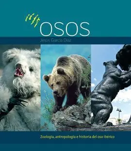 Osos