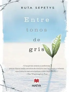 Entre Tonos de Gris