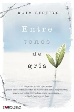 Entre Tonos de Gris