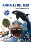 ANIMALES DEL MAR